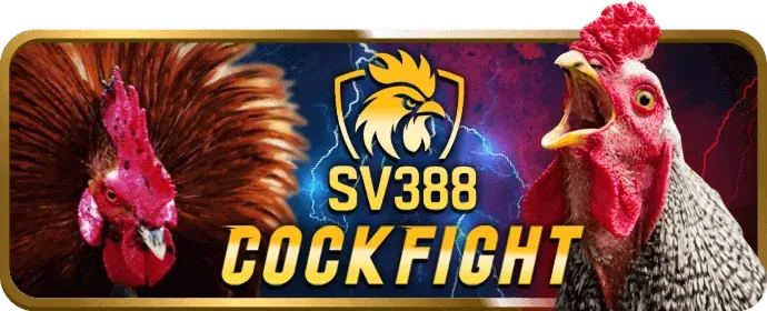 Cá cược Esport jun88v8 chính thức